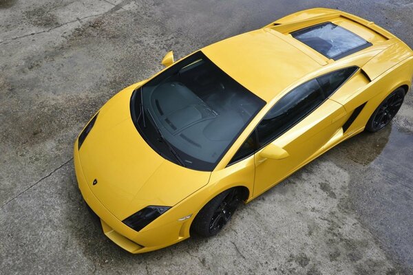 Lamborghini jaune dans toute sa splendeur