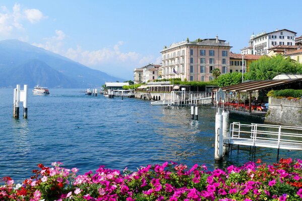 Spring flowers on Lake Como