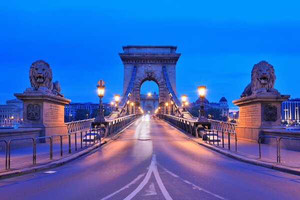 Evening cityscape in Budapest