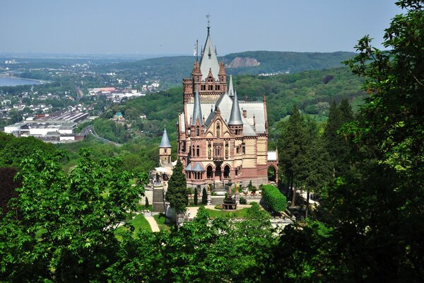 Zamek otoczony jest leśną zielenią