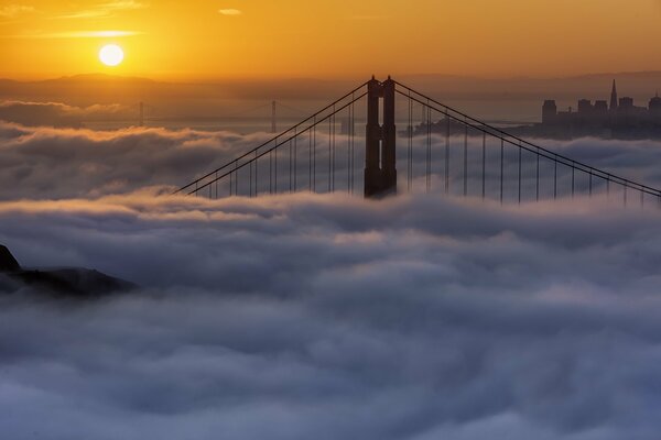 Brume matinale à San Francisco