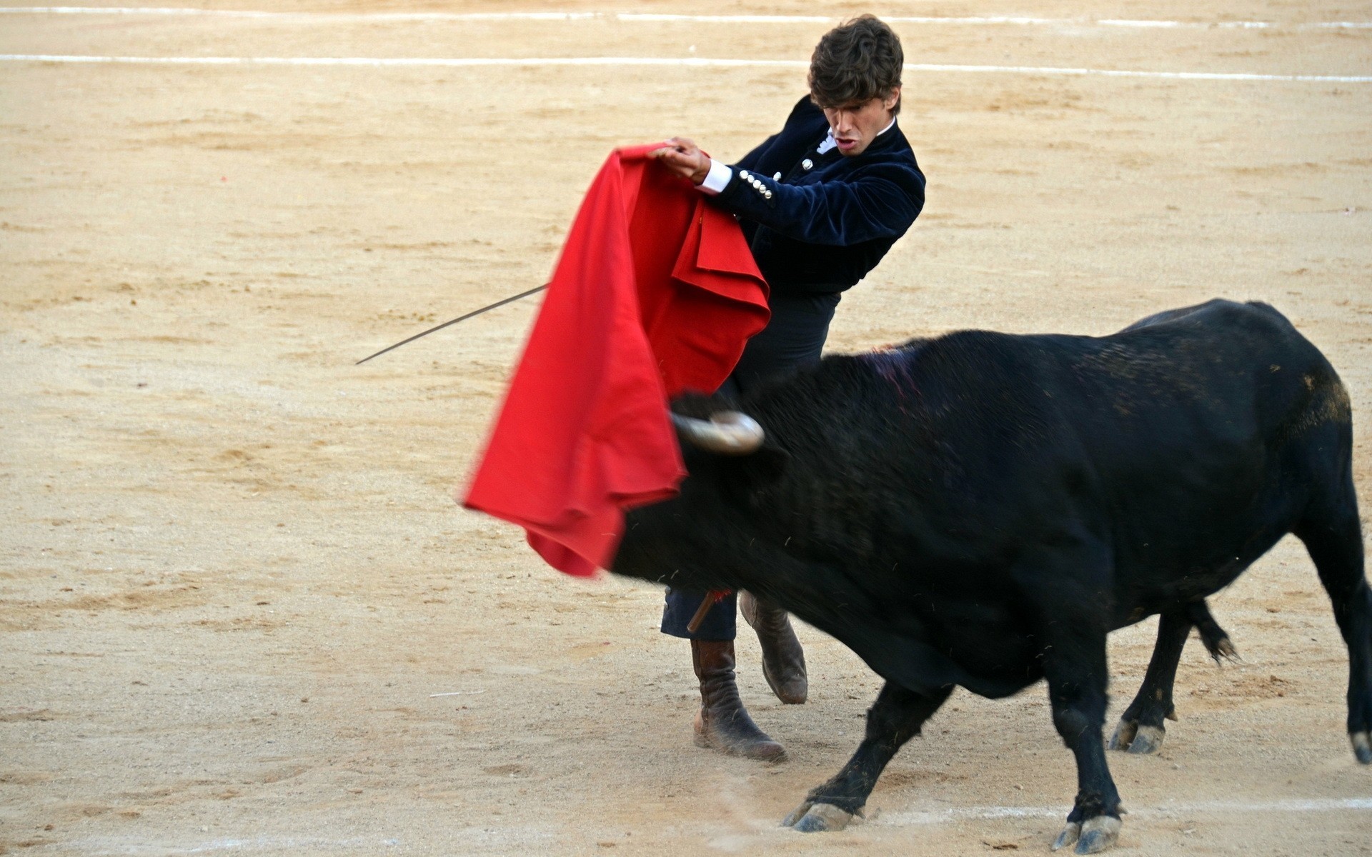 festival toros fiesta stier spanien