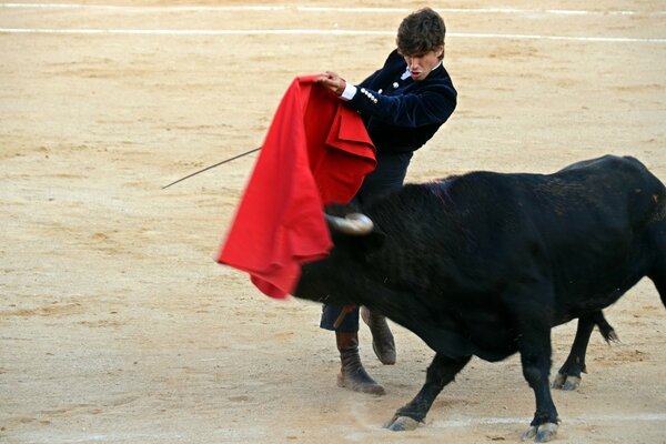 Corrida española. Torero y Toro