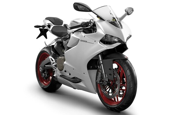 Ducati moto sur fond blanc