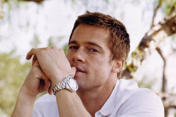 L affascinante attore Brad Pitt