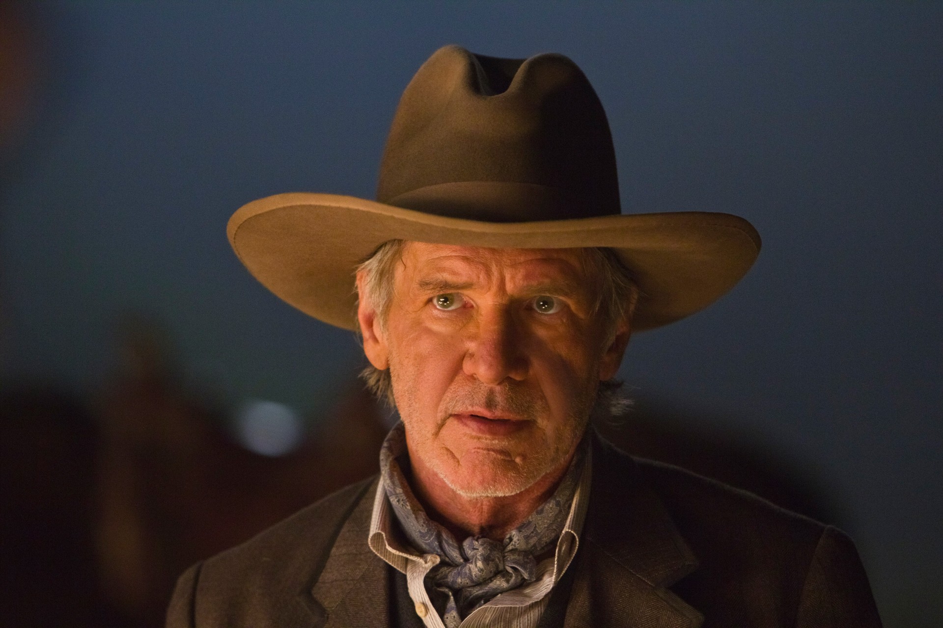 chapeau harrison ford portrait