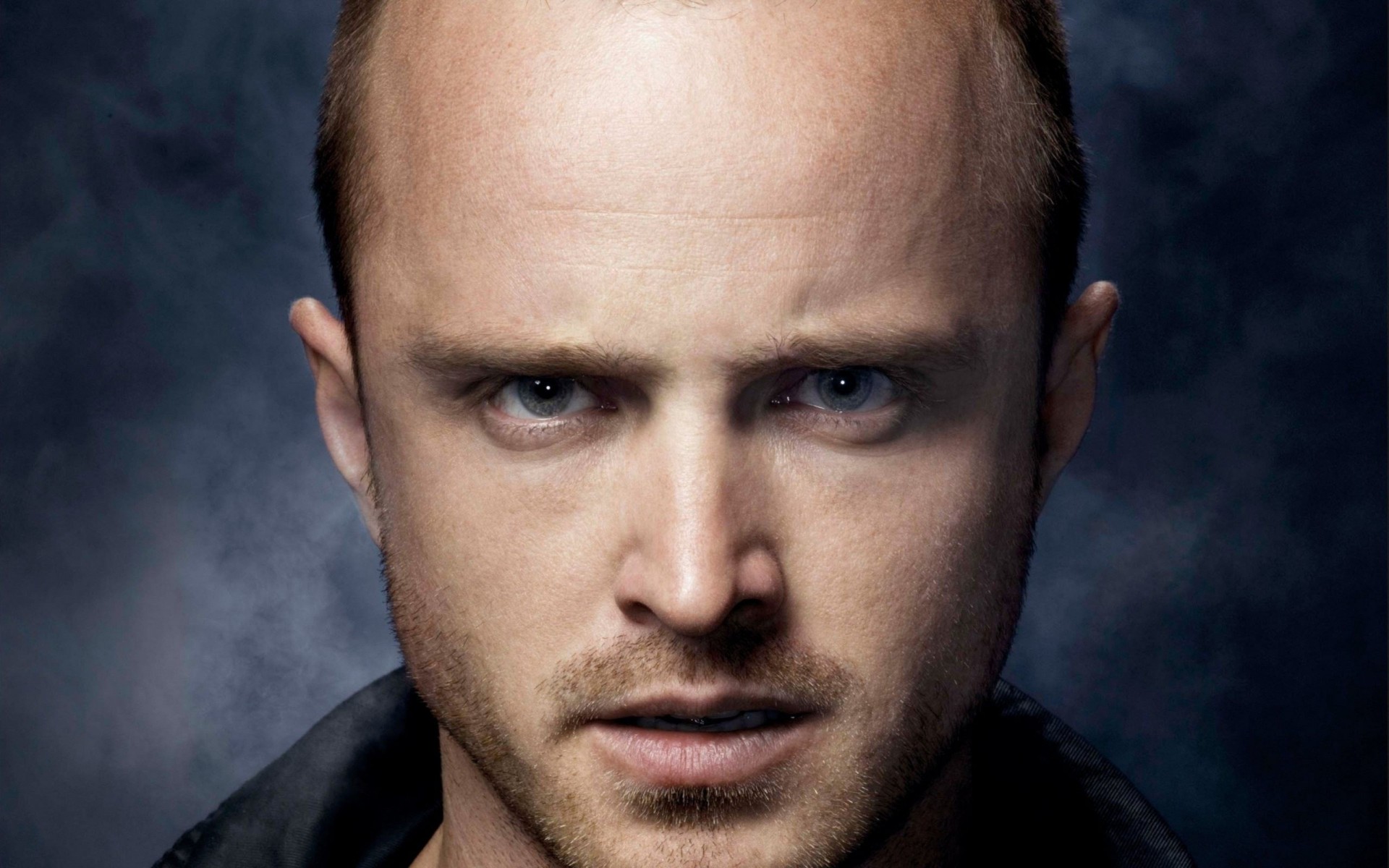 aaron paul photographie célébrités acteur