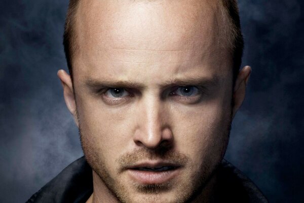 Photo de l acteur. Aaron Paul acteur