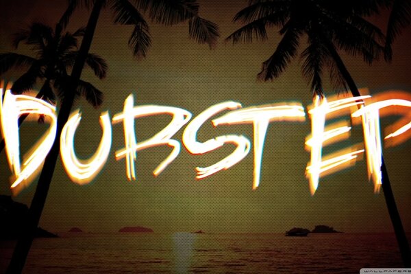 Disco dubsteb sur la plage sous les palmiers