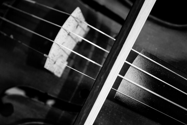 Music and violin on a monochrome background