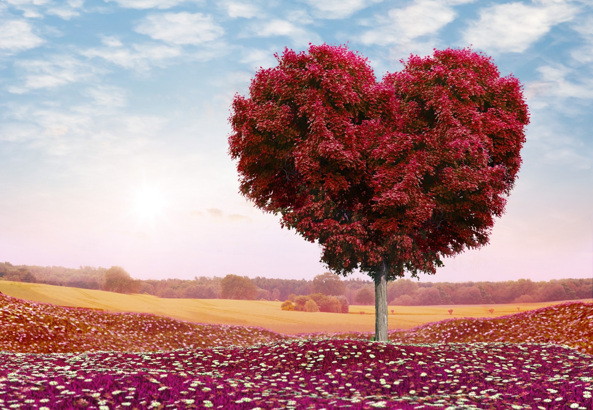 ciel romance nuages fleurs champ nature coeur amour arbre roses saint valentin