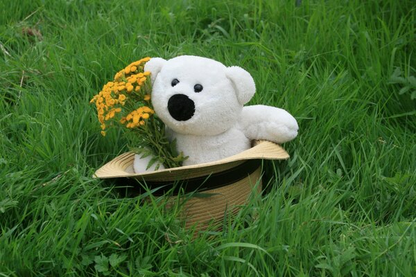 Teddy bear with a bouquet in a hat