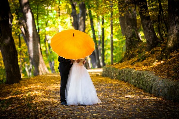 Couple d amoureux sous un parapluie en automne