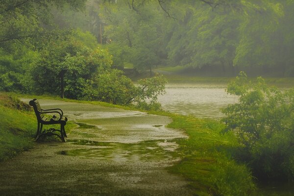 Eine einsame Bank im Park. Die Natur