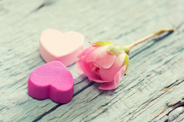 Pink hearts with a delicate rose