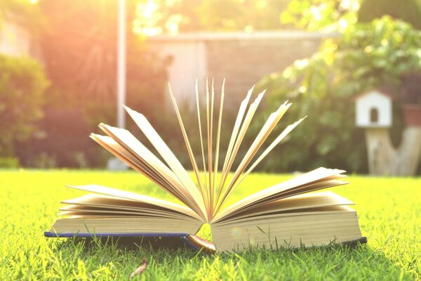 An open book on the green grass on a sunny day