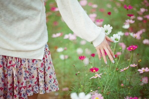 Una chica en un claro con flores. Chica en falda