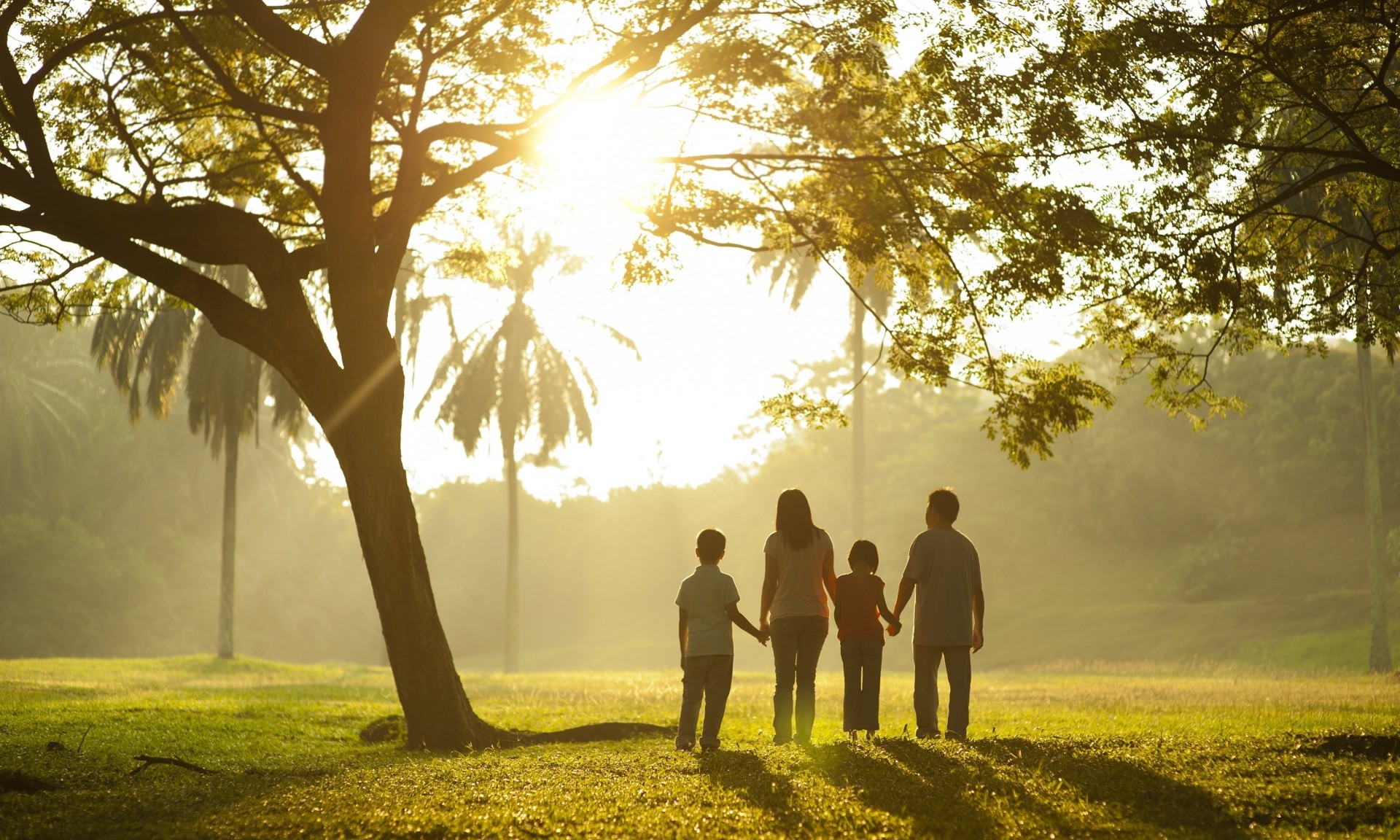 mutter blatt laub widescreen vollbild stimmung kinder baum vater bäume gras tapete grün hintergrund kinder familie spaziergang