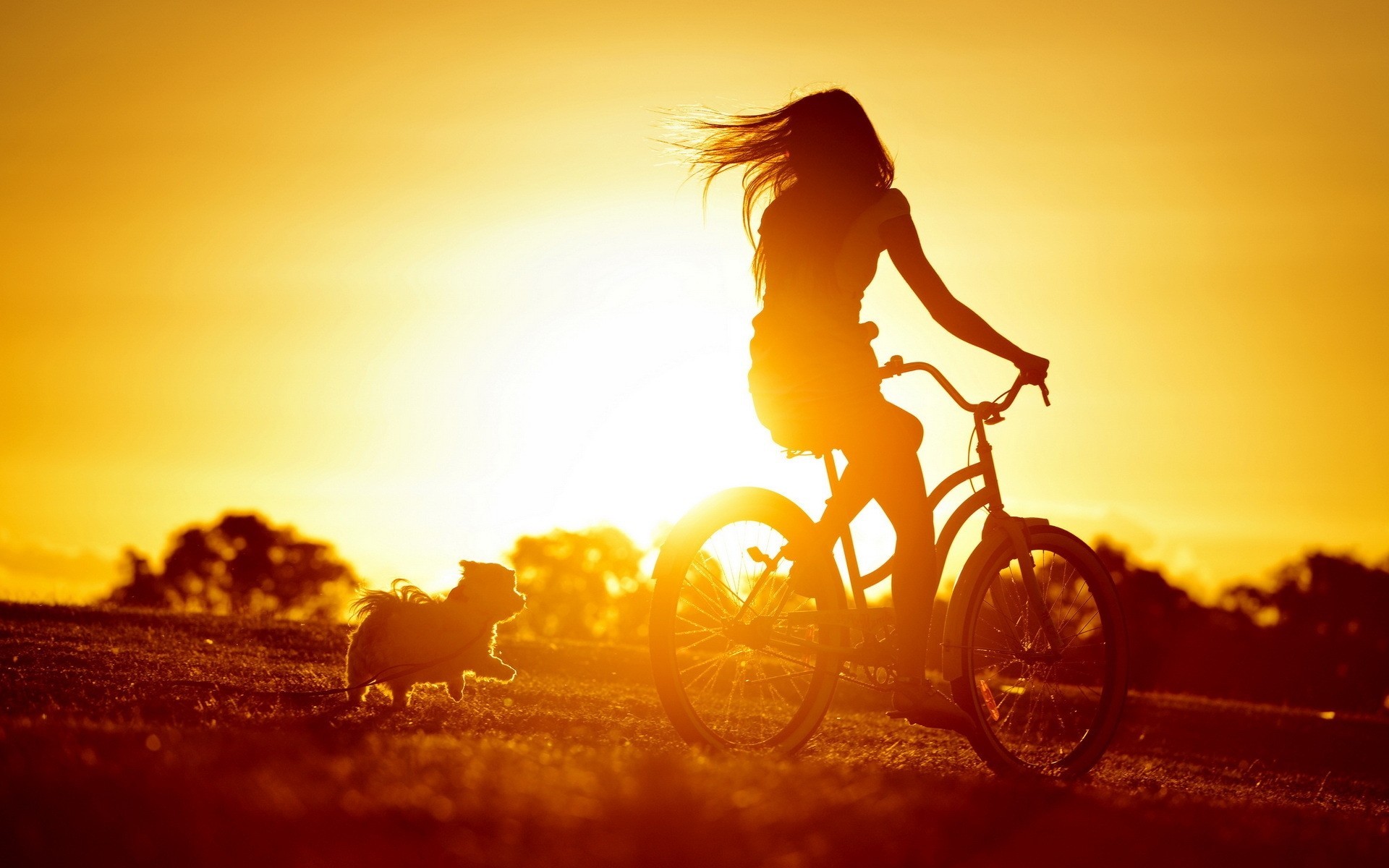 perro chica bicicleta puesta de sol estado de ánimo