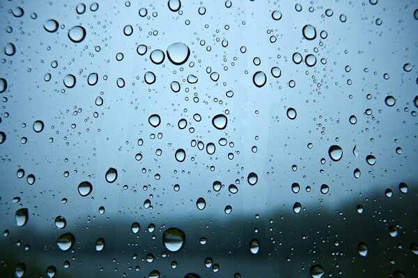 Raindrops on wet glass