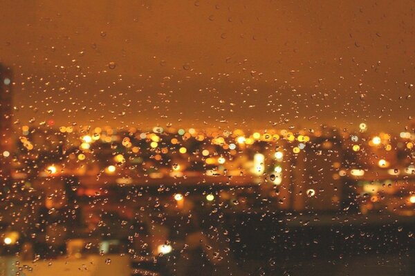 Misha Mira por la ventana a la lluvia que cae sobre la ciudad de la noche