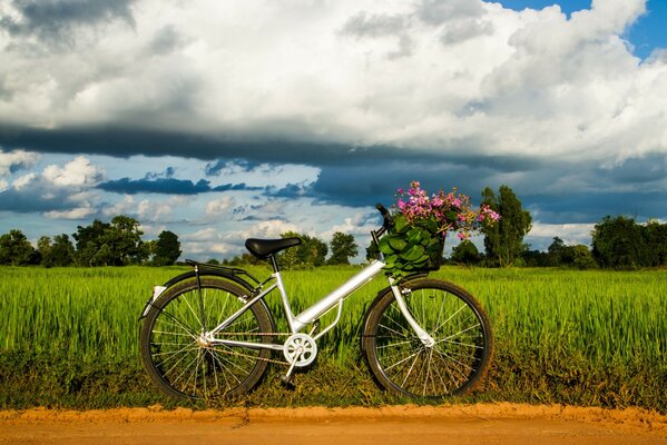 Bicicletta con fiori sulla strada