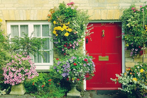 Edificio con finestra e porta a colori