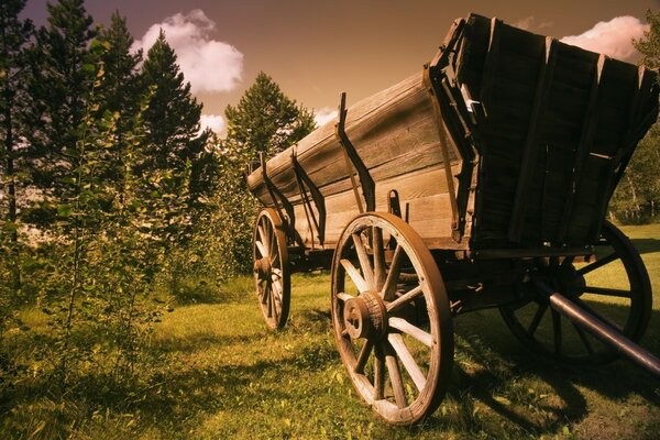 Cart on a beautiful background