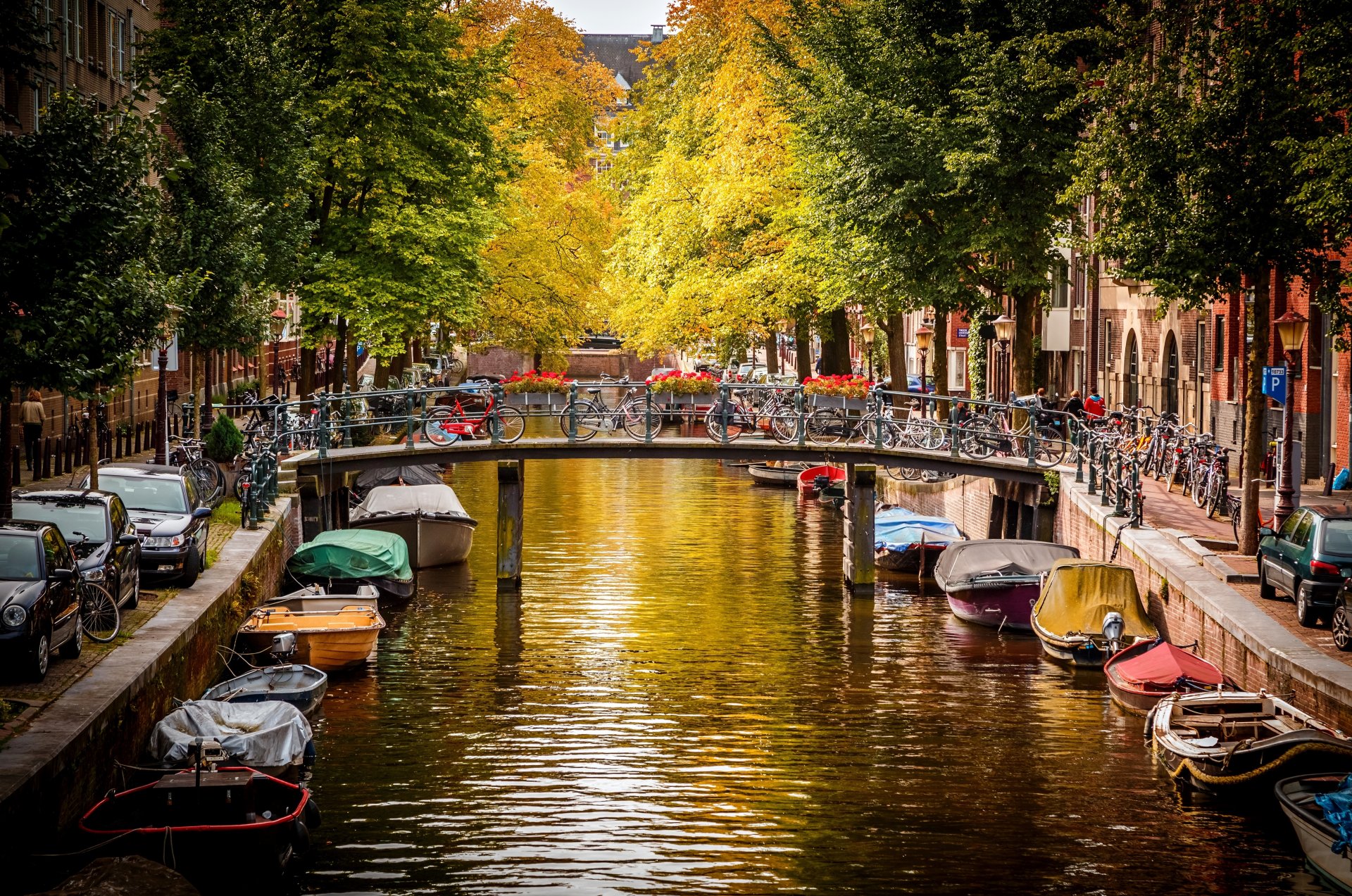 amsterdam netherlands city bridge bicycles cars street canal river water boats trees autumn