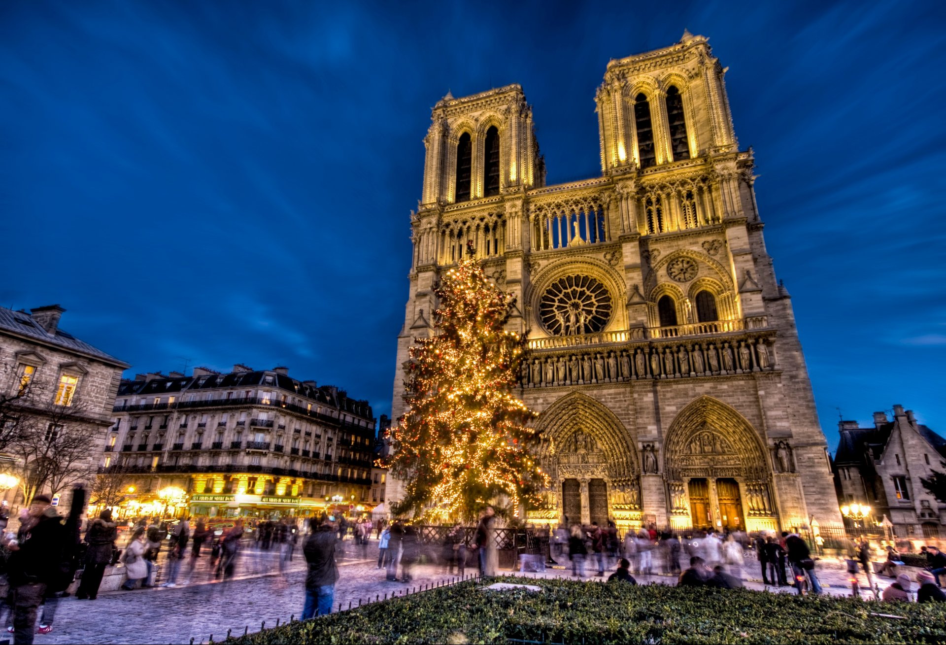 notre dame de paris notre dame de paris notre dame de paris parigi francia piazza capodanno albero di natale vacanze