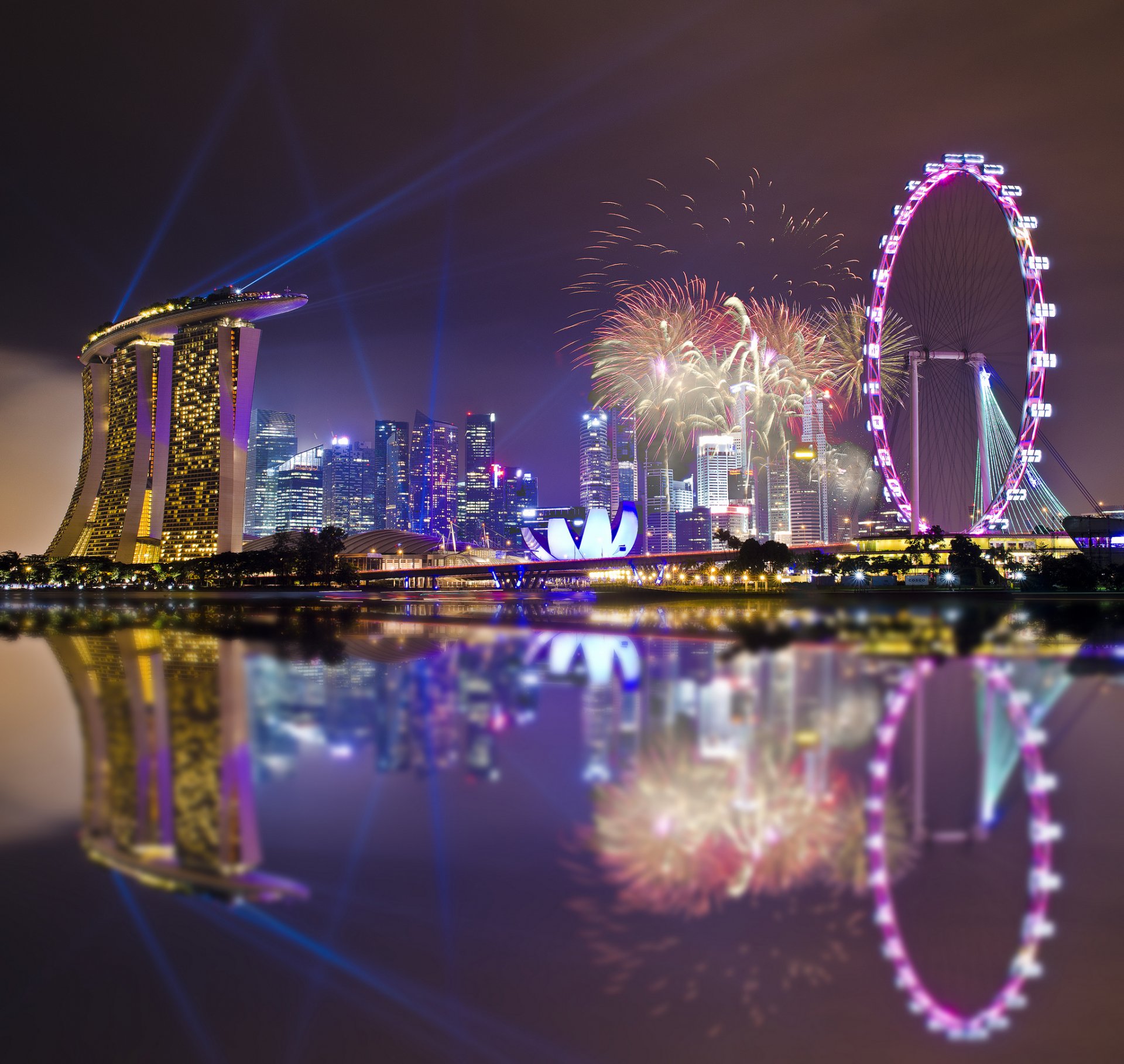 singapore giardini vicino alla baia notte architettura grattacieli luci cielo riflessione vacanze fuochi d artificio città-stato metropoli luci illuminazione baia vacanza