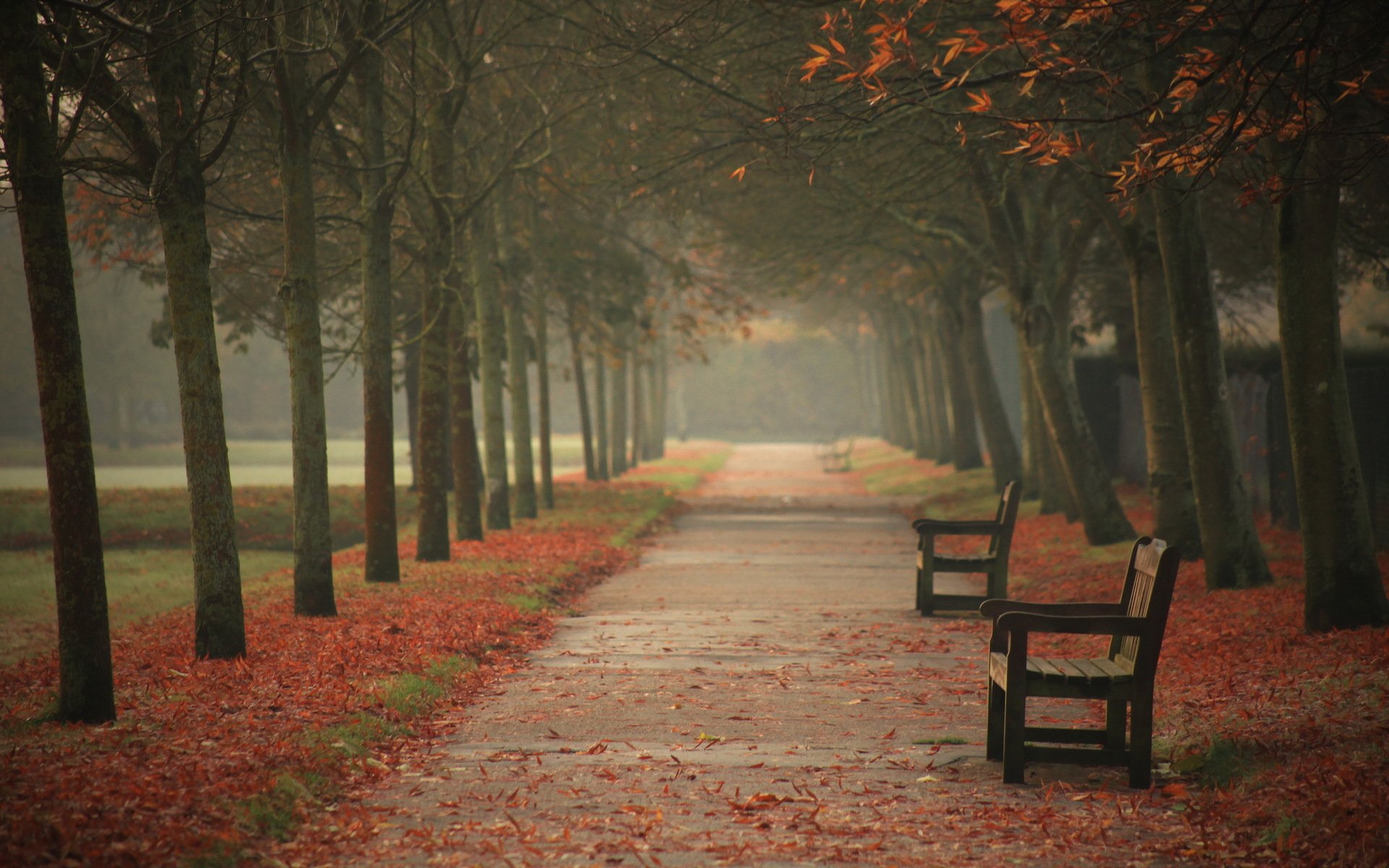 ville rue automne