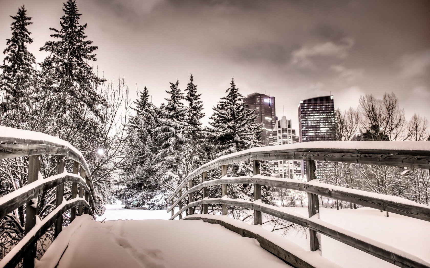 stadt park calgary nacht