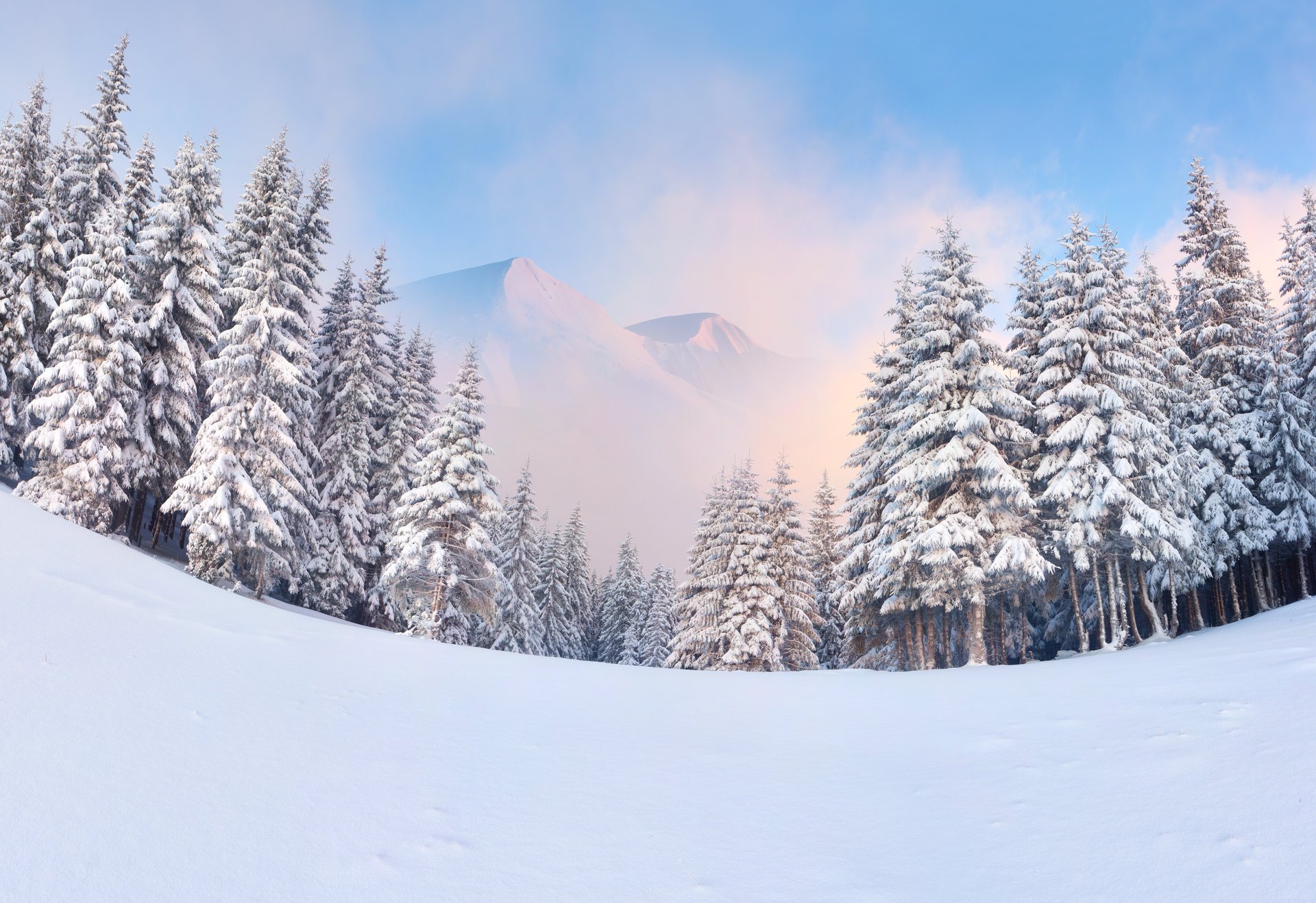 winter berge weihnachtsbäume wald schnee