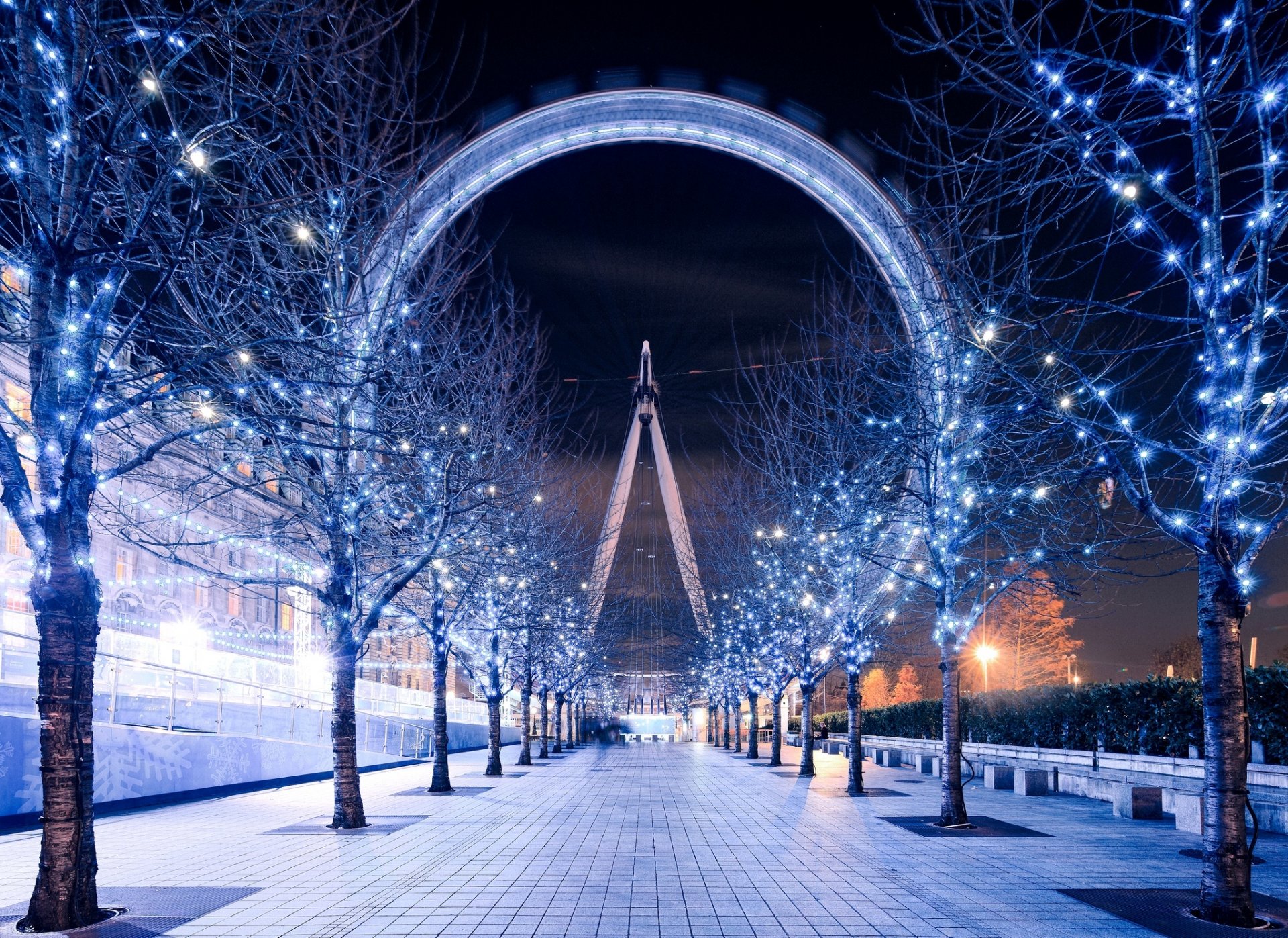 london eye london eye londres angleterre royaume-uni grande roue soirée nuit éclairage passerelle arbres guirlande