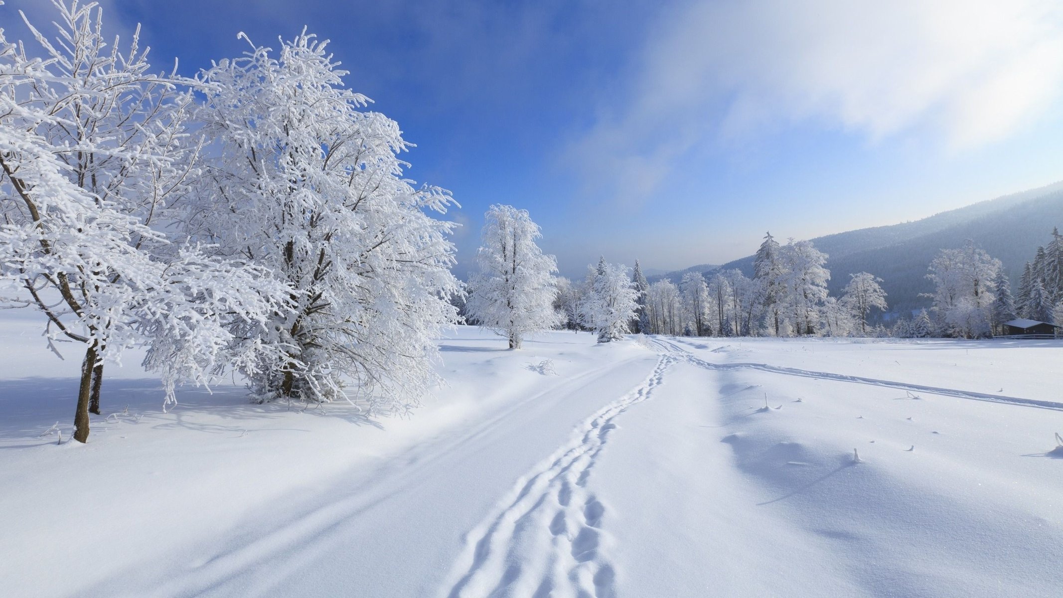 bäume frost winter schnee berge landschaft wolken himmel