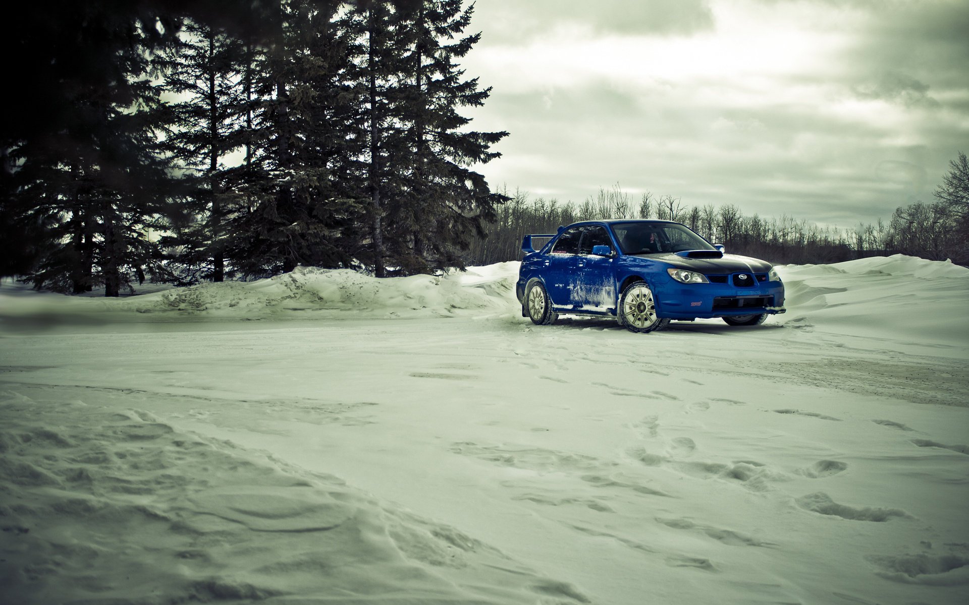 ubaru impreza rally