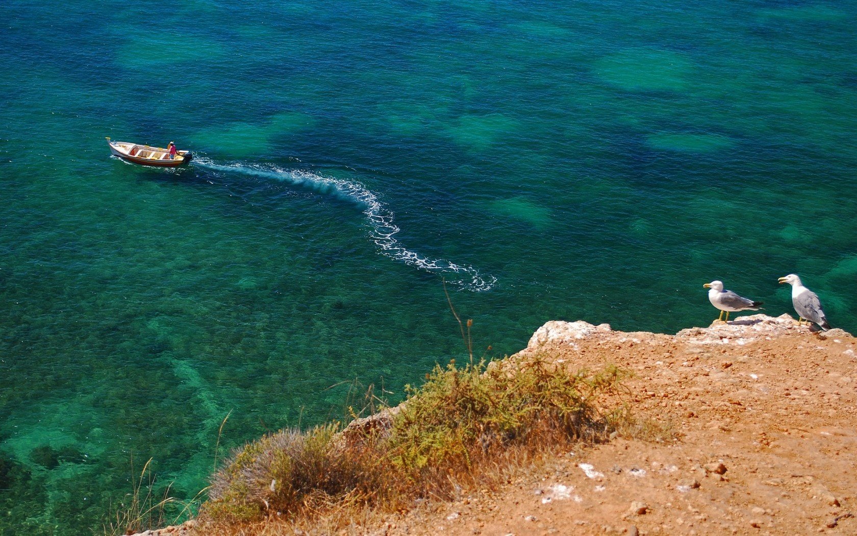 mer roches mouettes bateau rivage