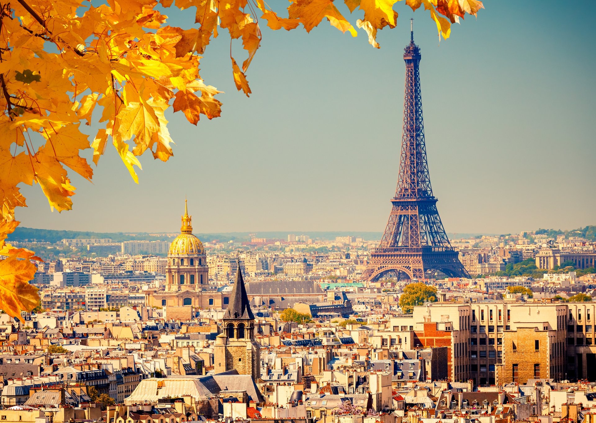 frankreich paris la tour eiffel eiffelturm stadt panorama ansicht gebäude häuser kuppeln dächer hintergrund herbst blätter gelb