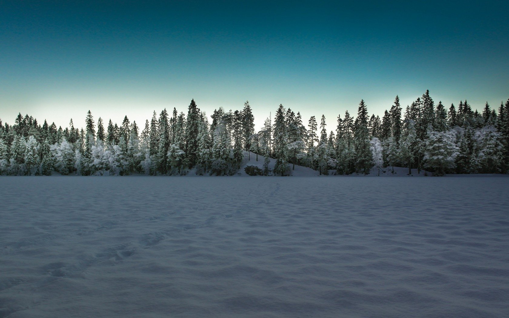 campo inverno paesaggio