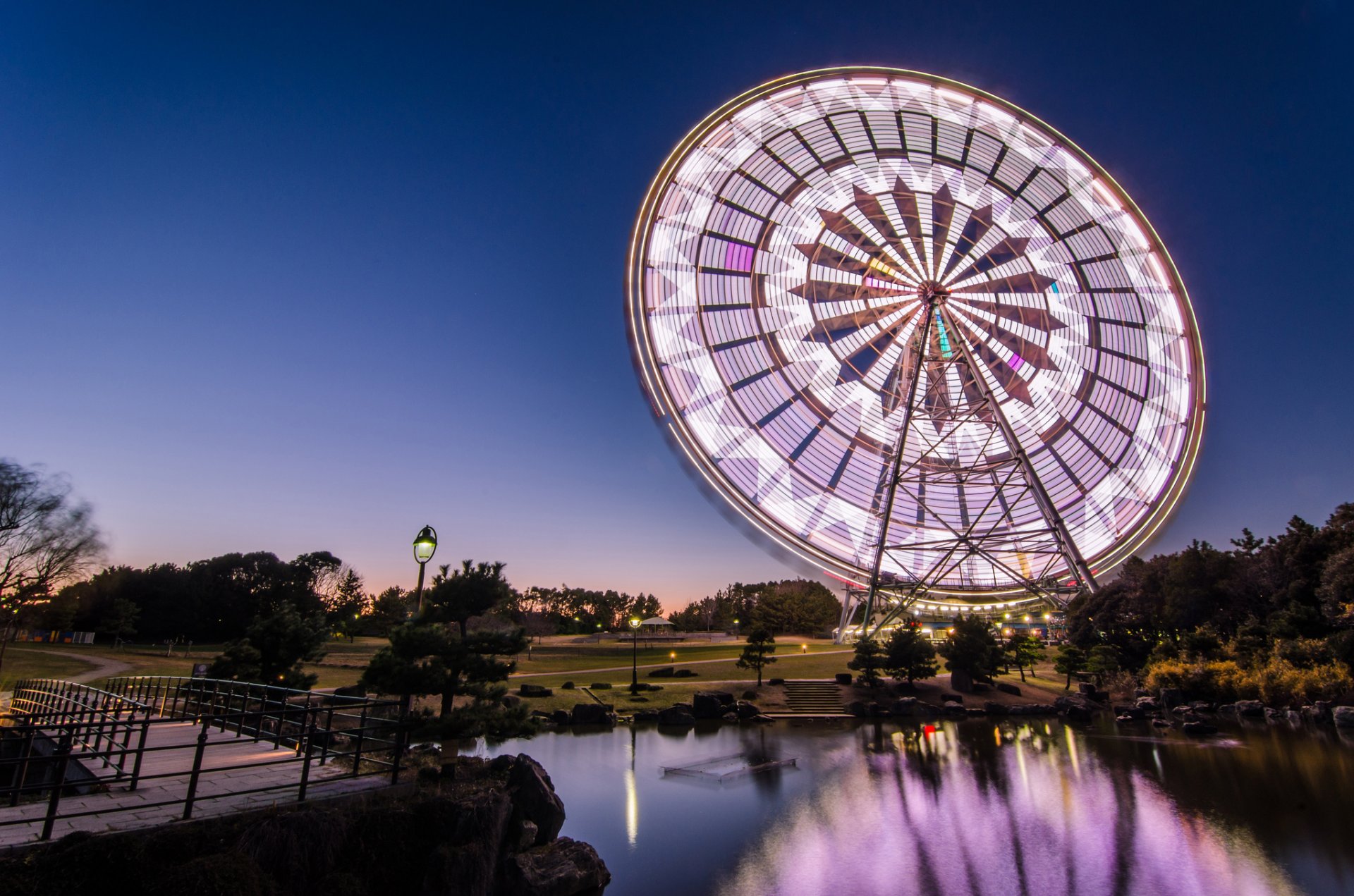 giappone tokyo capitale notte blu cielo parco alberi ponte lanterne illuminazione ruota panoramica stagno riflessione