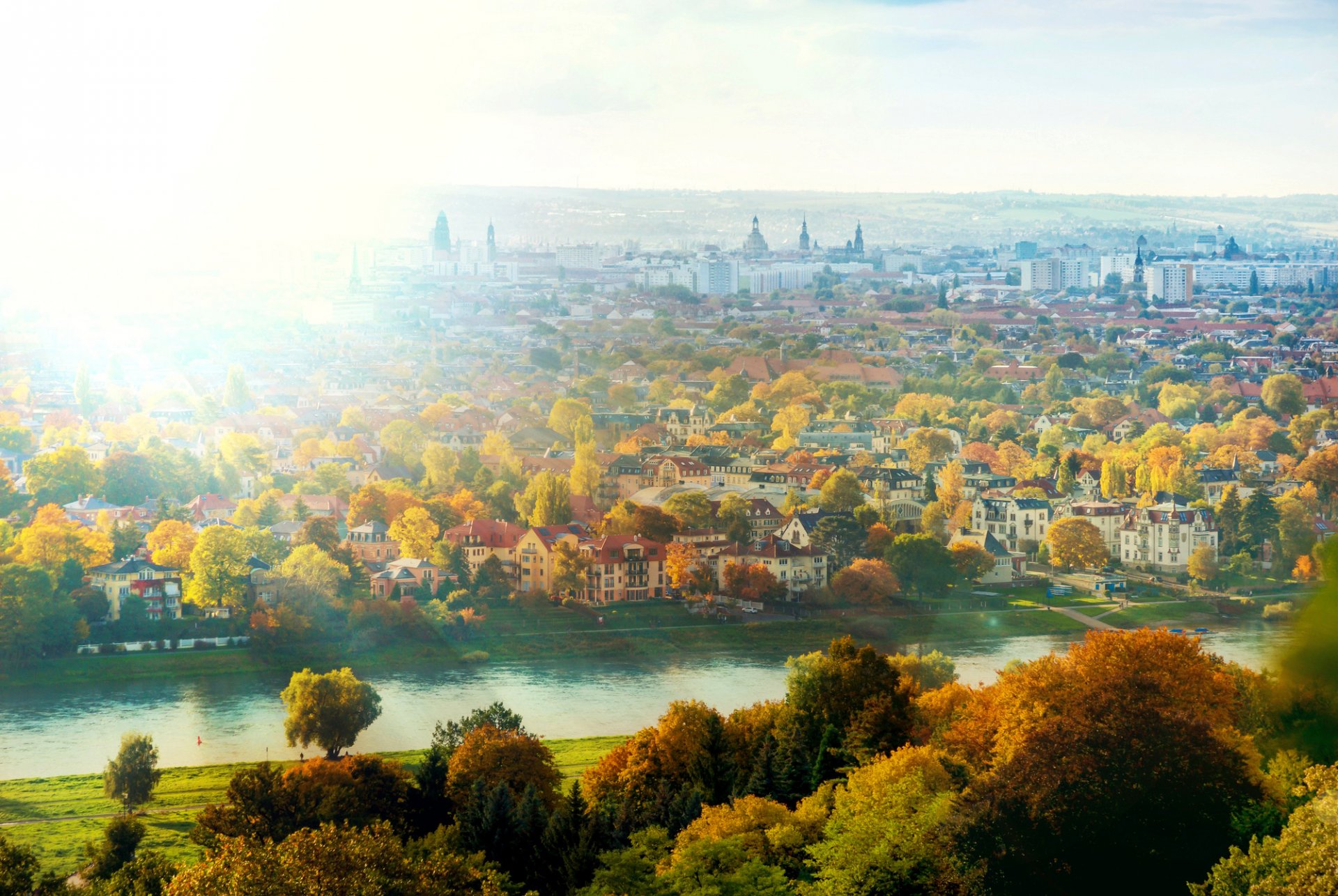 dresden deutschland elbe fluss stadt sonne licht häuser bäume herbst