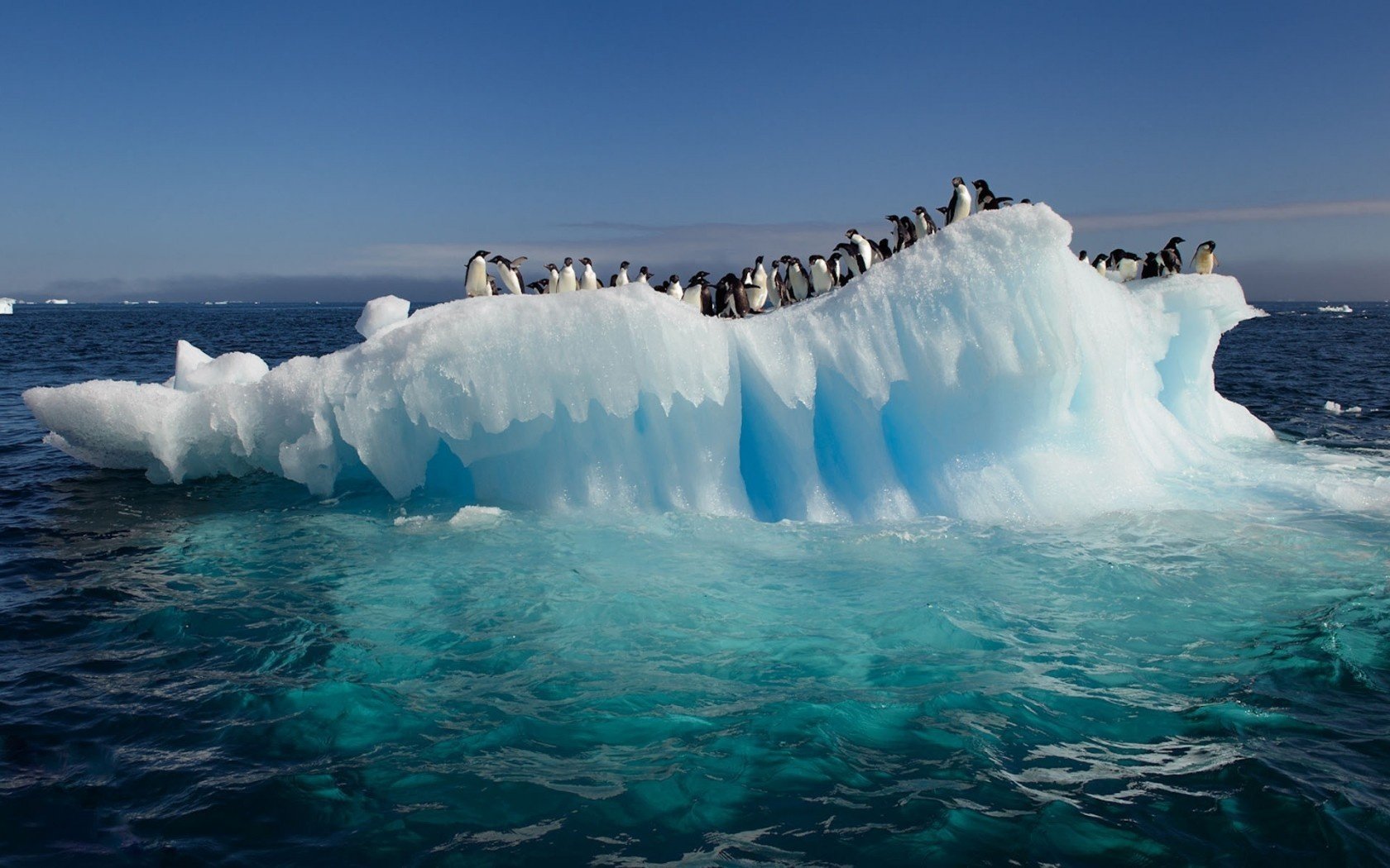 témpano de hielo océano pingüinos antártida