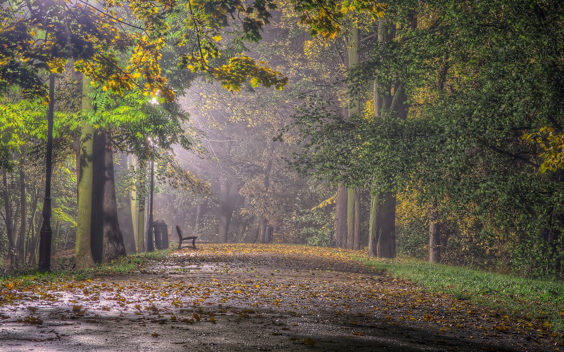 скамья парк город