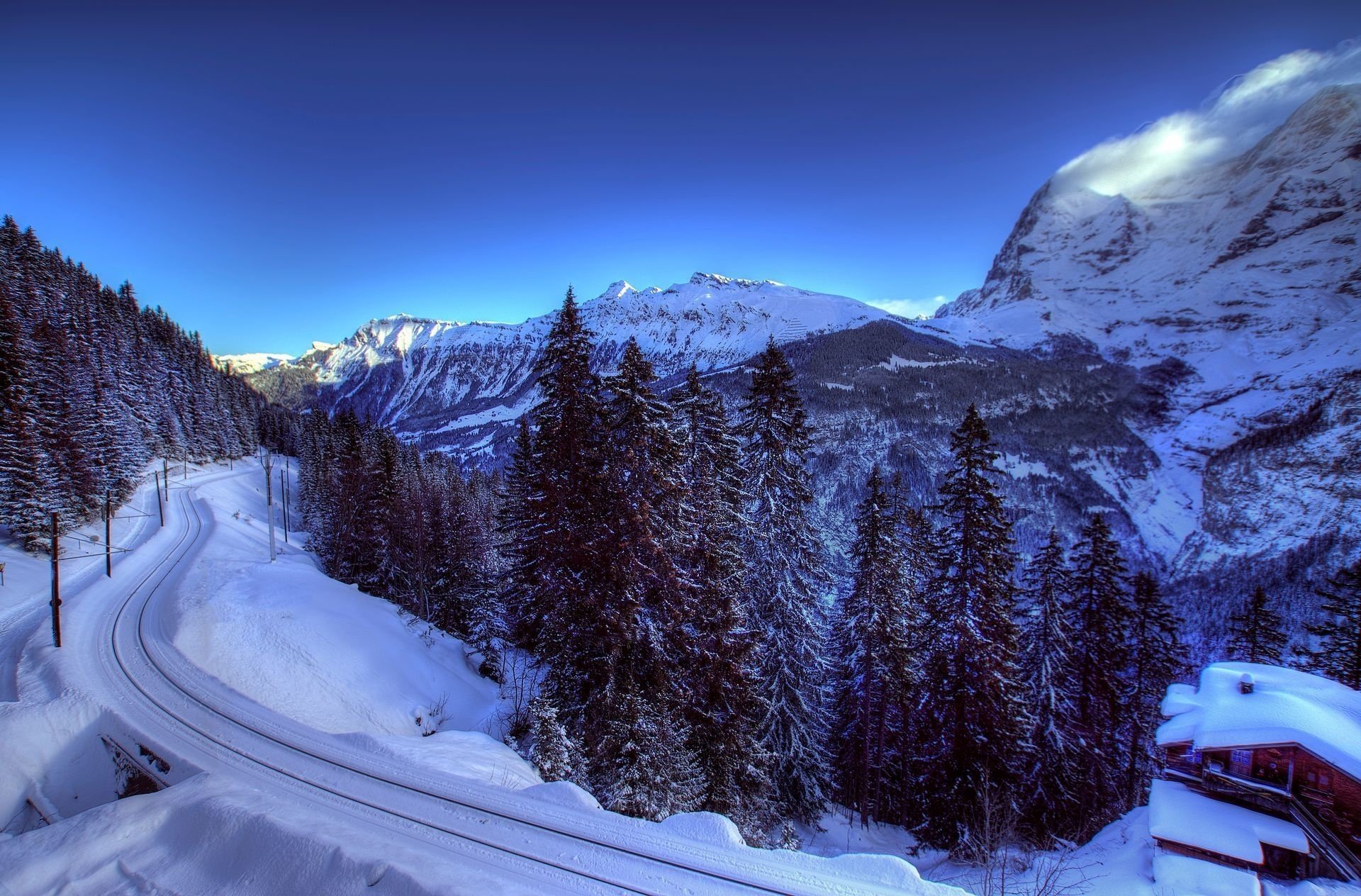 alpes suiza invierno nieve árboles ferrocarril