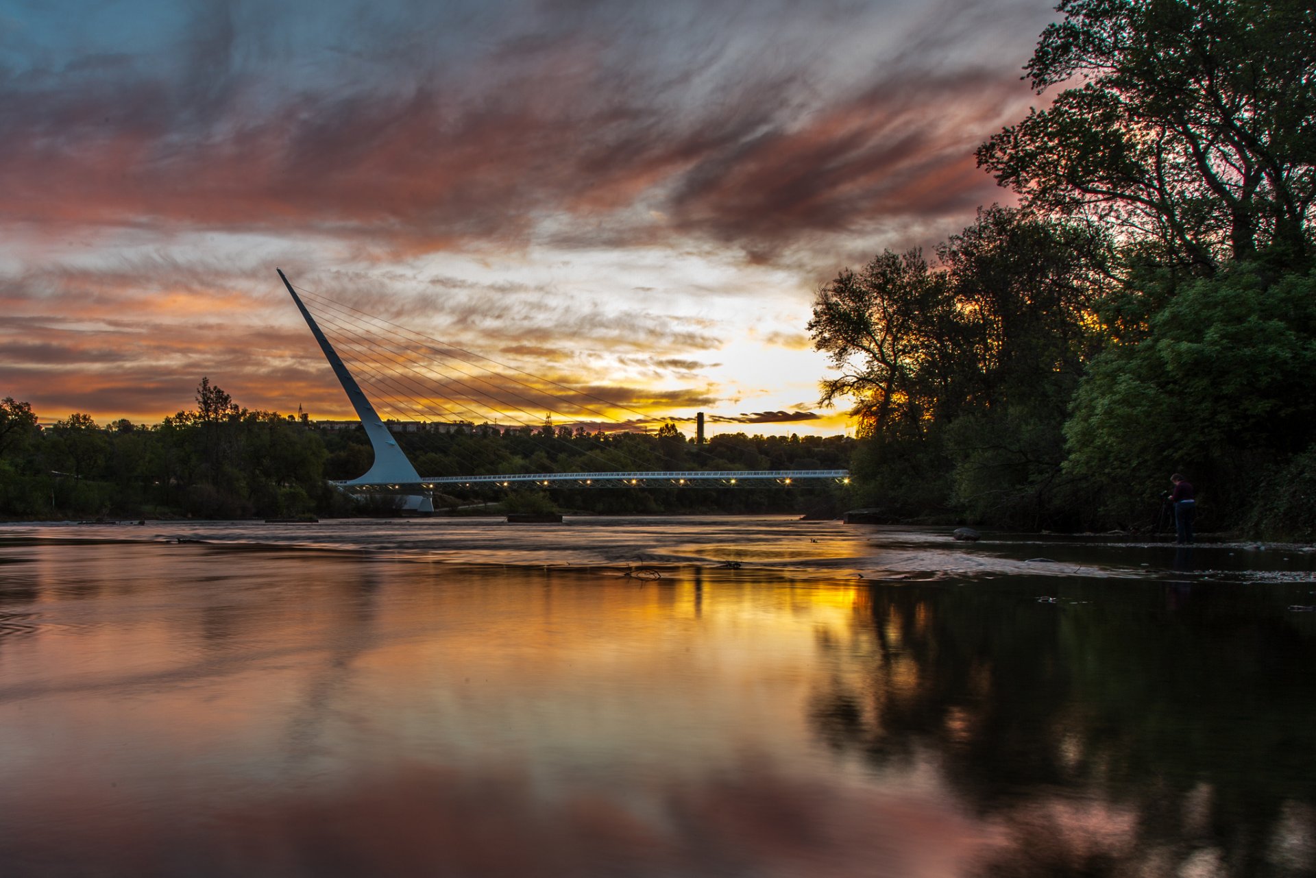 united states california redding town bridge river sacramento nature tree morning dawn sky clouds reflection