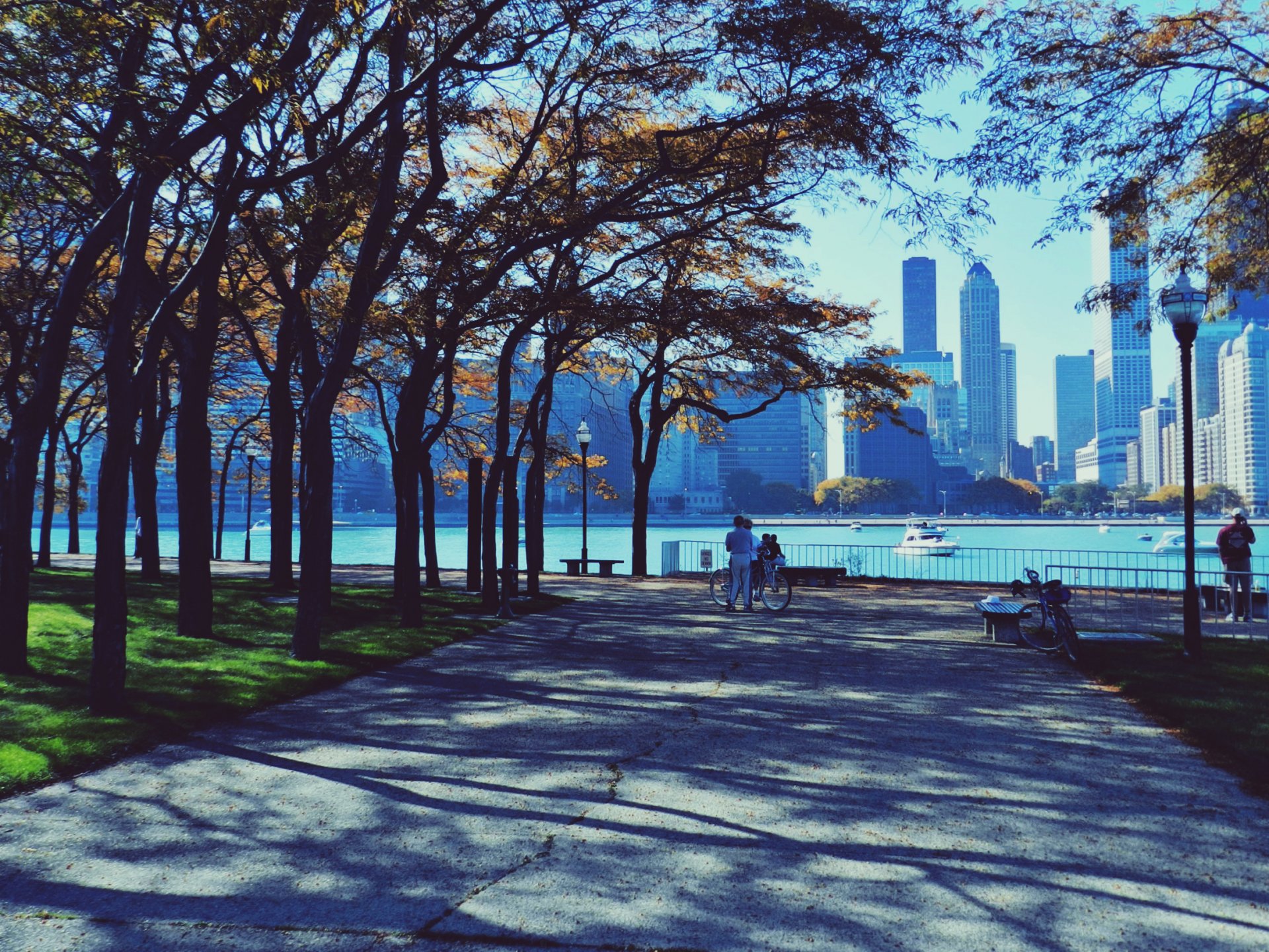 chicago skyscraper park people autumn