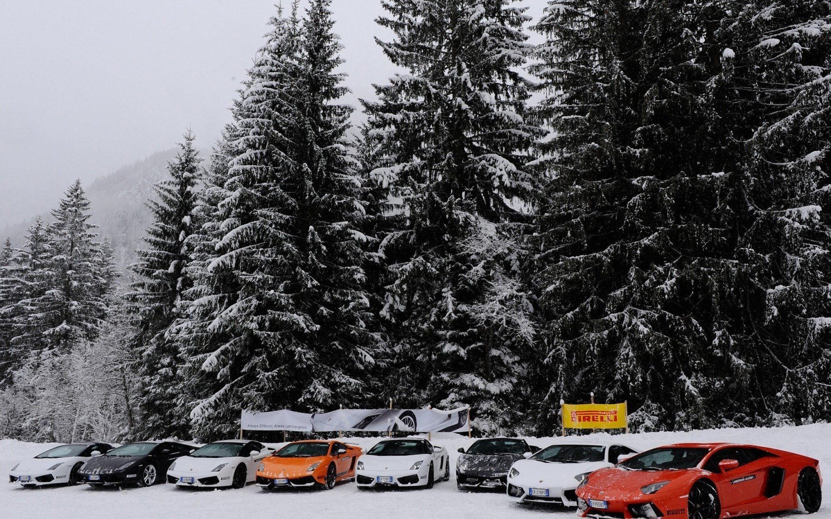 lamborghini aventador inverno abete rosso neve gallardo