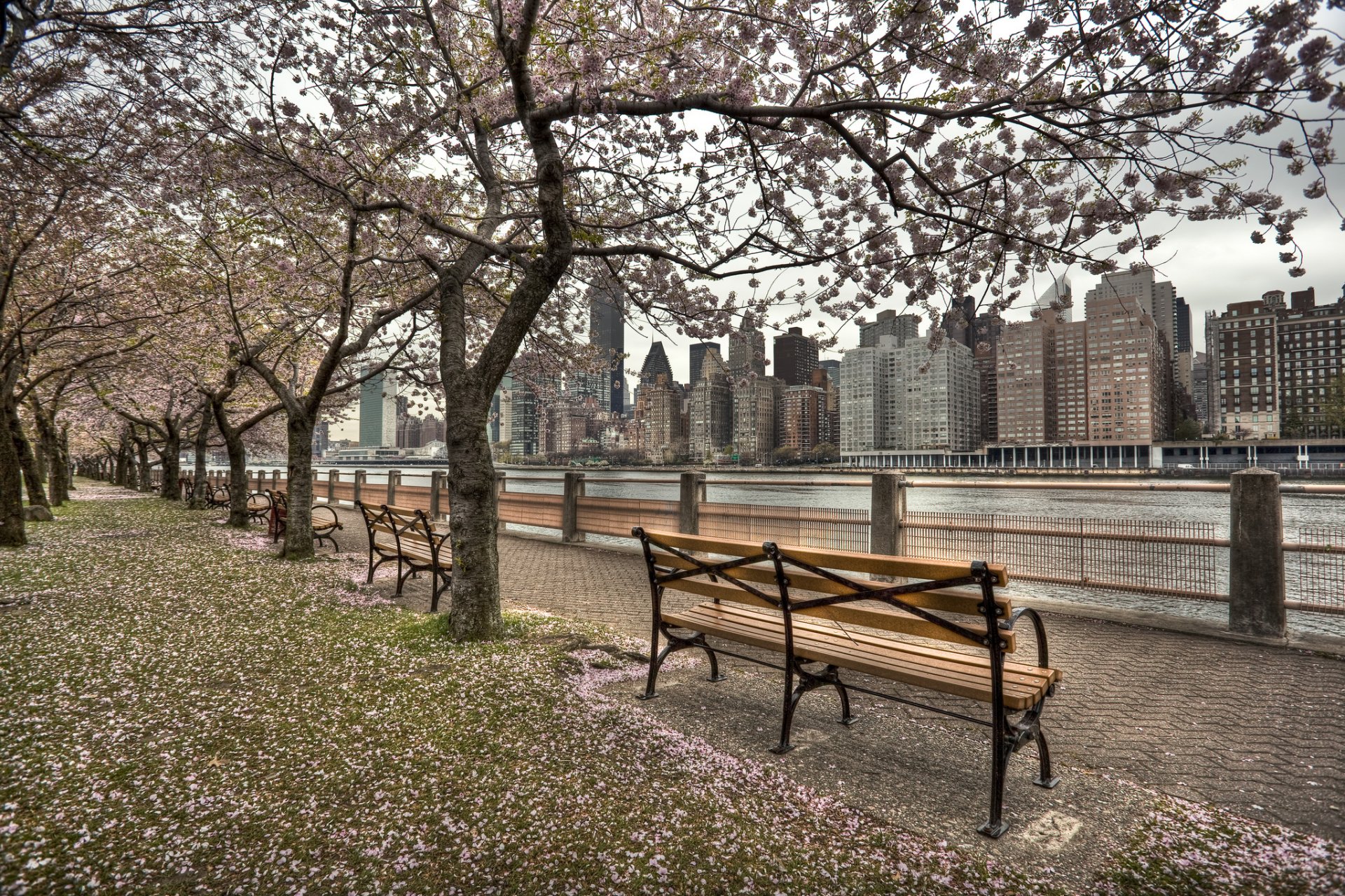 roosevelt island new york usa embankment city river beach spring