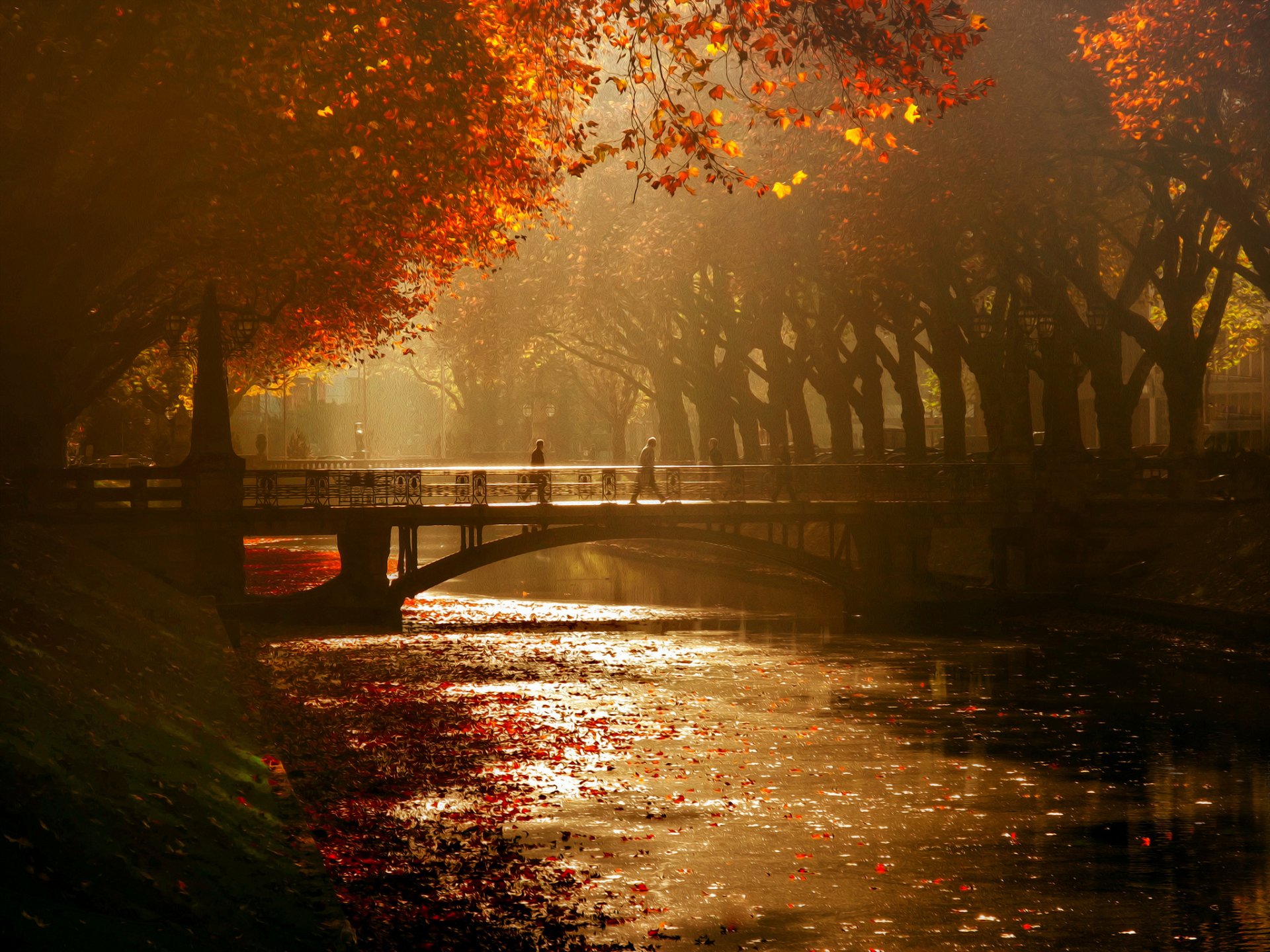 düsseldorf allée royale pont canal arbres automne